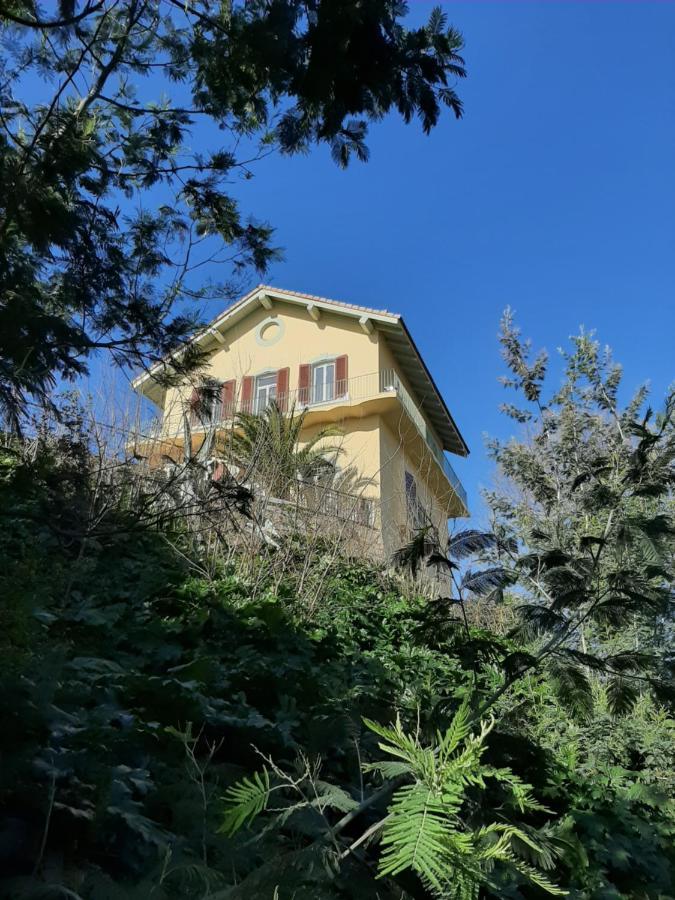 Belvedere D'ajaccio, Entiere Vue Pour 2 A 10 Voyageurs *