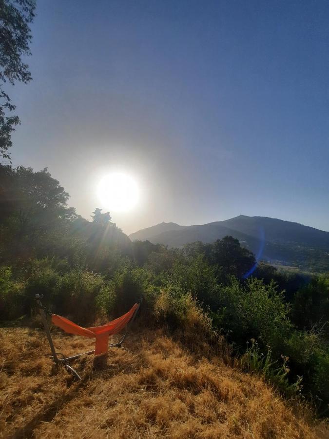 Belvedere D'ajaccio, Entiere Vue Pour 2 A 10 Voyageurs Villa *
